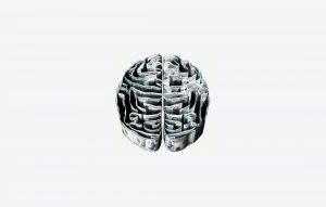 Brain