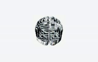 Brain